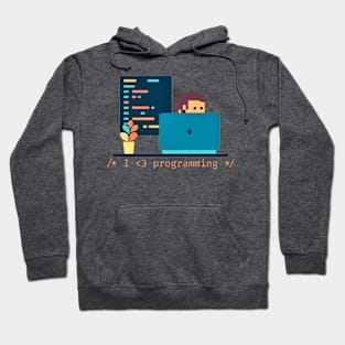 I love programming - V2 Hoodie